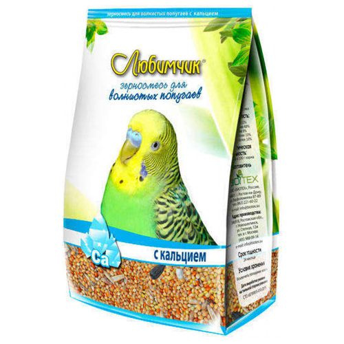 ���� ���� ��� �������� 