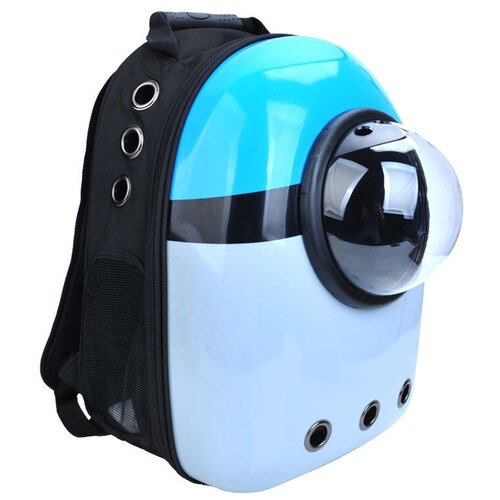 ���� ��������� ��� �����, ��������� ��� ��������, ������ ��� ��������� ��������, Petsy space (������� � �����), ������ ������