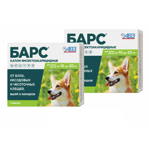 ���� ��� ������� �� ���� � ������ ���� ������������������ ��� ����� ����� �� 10 �� 20 �� ��� ����� � ����� 1 ��. � ��., 2 ��., ������ ������