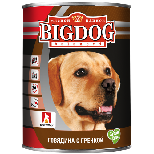       Big Dog, ,   1 .  1 .  850  (    )   -     , -  