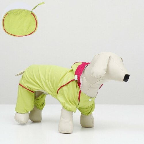 ���� ���������� ��� �����, ������������ � ������, ������ S (�� 25, �� 33, �� 23 ��), ���������, ������ ������