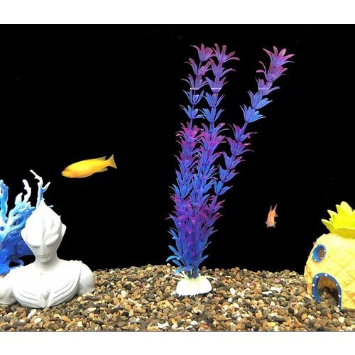 ���� �������� ��� ���������� � ����������� 40. ��, ������ ������