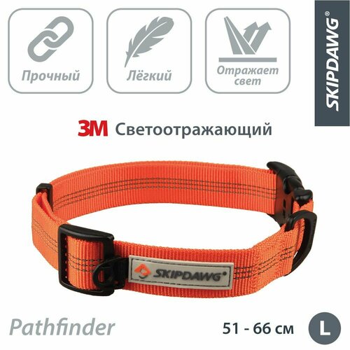 ���� ������� ��� �����, ���������������, ��� ������� � ������� �����, ���������, ������ ������