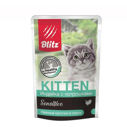      Blitz Sensitive,   ,  ,   85  (  )   -     , -  