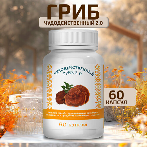 ���� ��������������� ���� �� ��������� � ��������, ������ ������