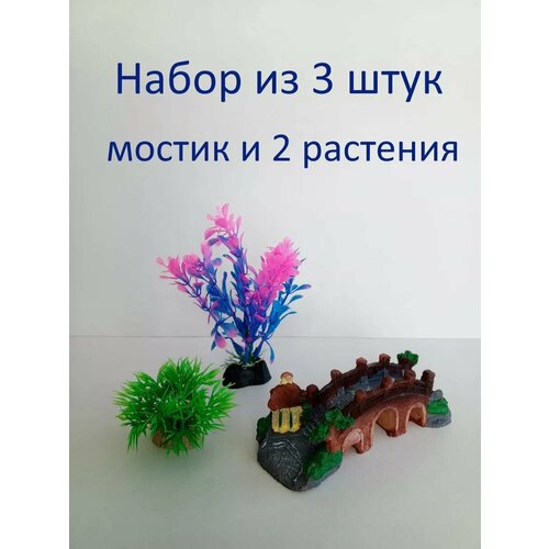 ���� ������ � ��������, ������ ������