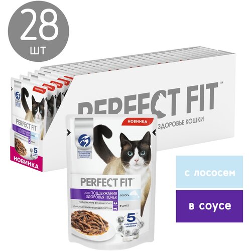      Perfect Fit    ,    28 .  75  ()   -     , -  