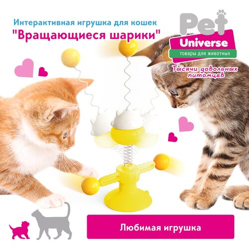        Pet Universe.          /PU4003Y   -     , -  