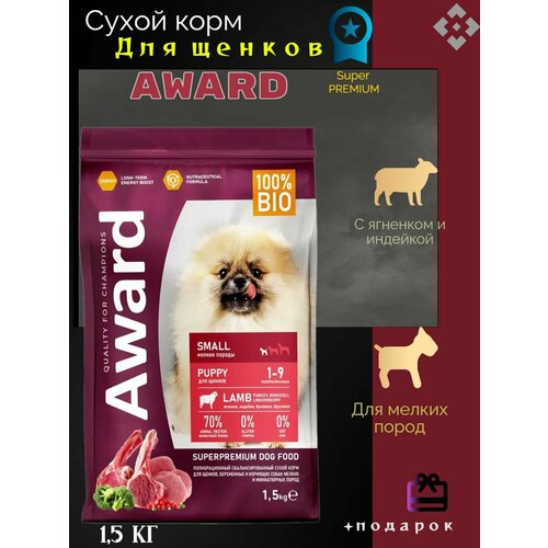  AWARD          1 ,    ,  , ,    - 1,5    -     , -  