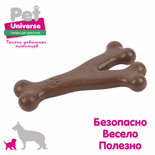     Pet Universe  Y-  138,5 , , PU8004   -     , -  