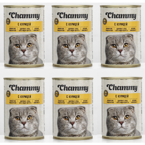      Chammy    / 415*6    -     , -  