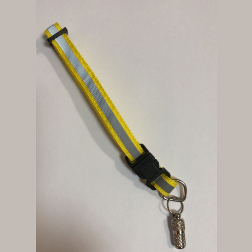 ���� ������� � ���������� ������ PET STUFF �� ��������������� ��������, ������ ������