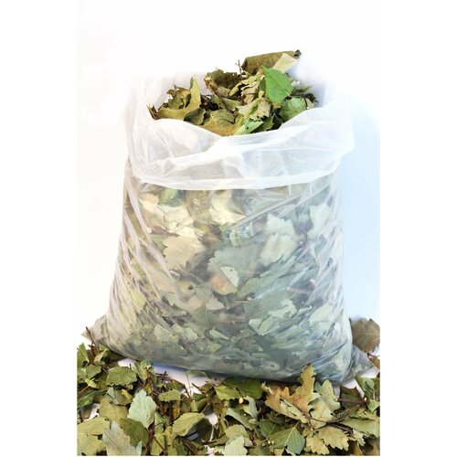 ���� ���� ��� �������� ������� � ��������� ������� � ������ 500�, ������ ������