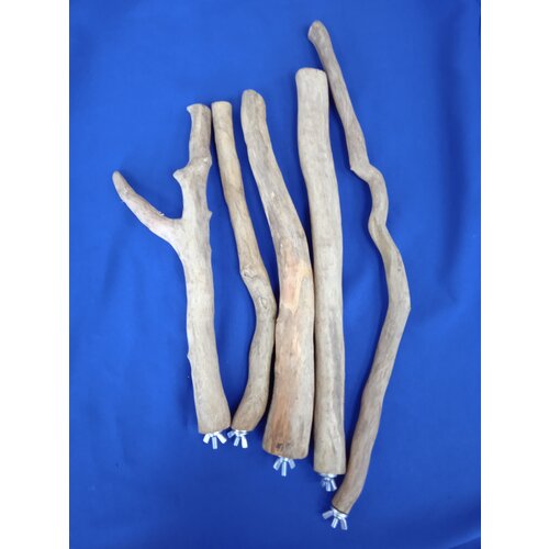 ���� �������� ��� ���� (� ��������), ������ ������