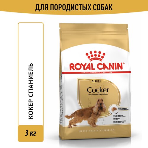      Royal Canin Cocker Adult ( )       12 , 3    -     , -  