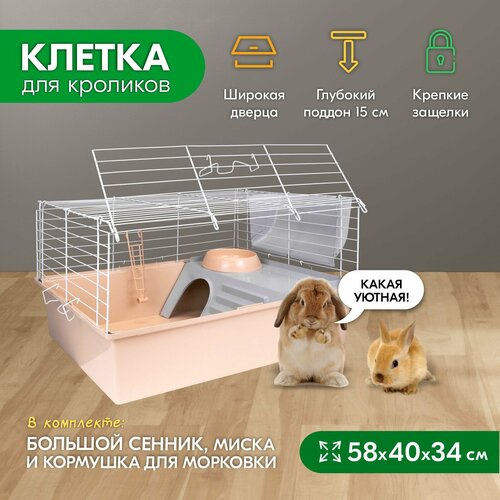     PetTails 1 ,    25, 58*40*h34 (+, 2 ) -   -     , -  