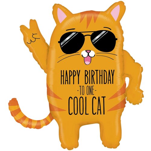   HB TO ONE COOL CAT    -     , -  