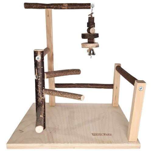 ���� ����� ��� ���� � �������� ��������, ��������� � ��������, ������ ������