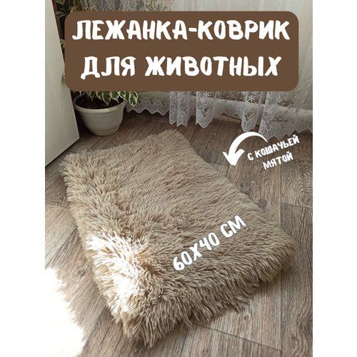 ���� �������-������ ��������� ��� �������� � �������� �����, ����-���, ������ ������