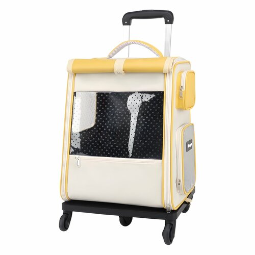 ���� ������-��������� ��� �������� �������� � �������, �������� � ������, ������������������, ������, ������ ������