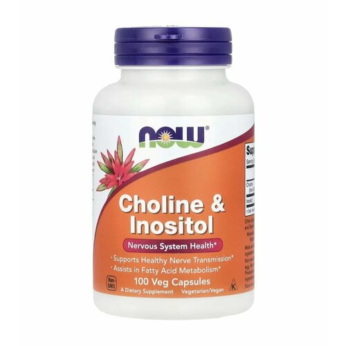 ���� NOW Choline & Inositol ��� ����� � ��������, 500mg 100 Veg Caps, ������ ������