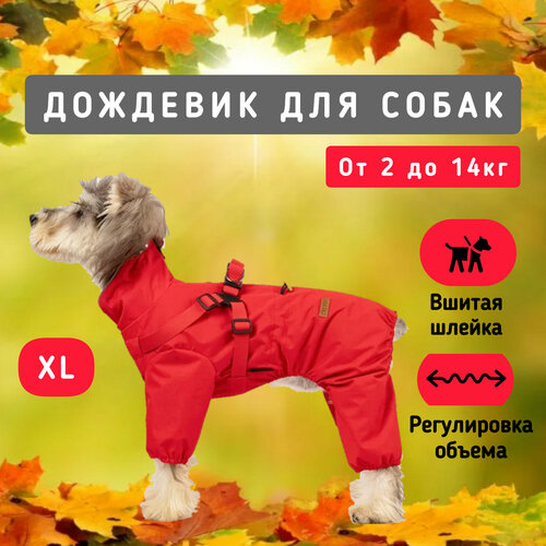 ���� �������� ��� �����, �������, XL, ������ ������