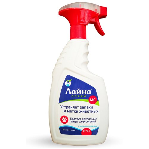 ���� ����� ����� �� ��� ���������� ������� � ����� �������� �������� , 750 �� , 833 �, ������ ������