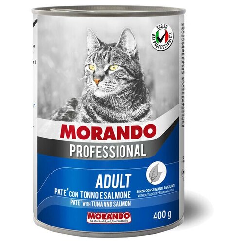    Morando Professional       , 6  400    -     , -,   