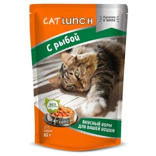      Cat Lunch   85  (  )   -     , -  