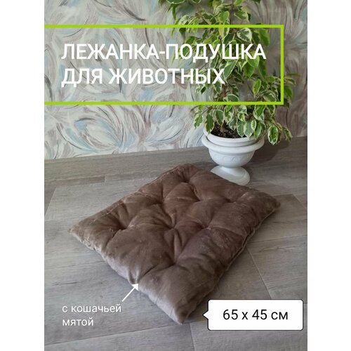 ���� ������� ������ ��� ����� � �����, �������-������� ��� �������� 65�45 ��. �������, ������ ������