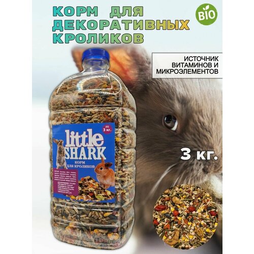 ���� ���� ��� �������� Little Shark, 3��, ������ ������