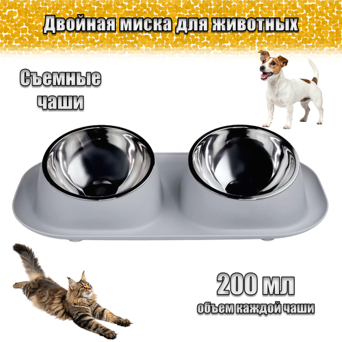 ���� ����� ��� ����� � ����� ������ ����� ������� �� ��������� � �������������� ������, ������ ������