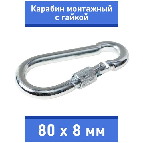 ���� ������� ��������� �������� ��� ������� ������ ������� � ������� ����� (� ������), Zoo One, �����, �������� ����, ������ 80�8��, 245S-80M, ������ ������