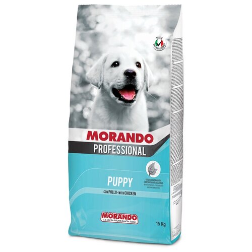  Morando Professional Cane   (4 )   -     , -,   