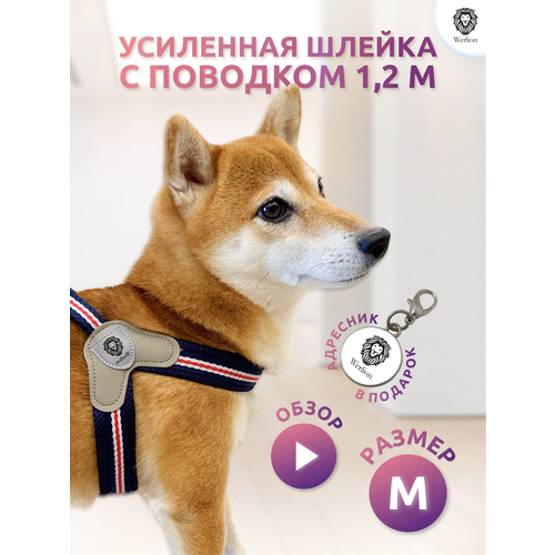 ���� ������ ��� ����� � �������� M, ������ ������