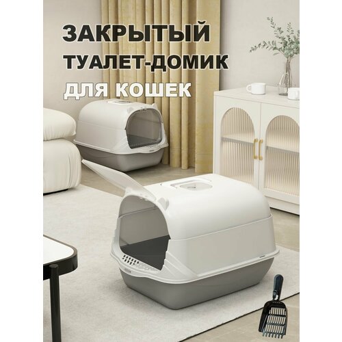 ���� ����� ��� ����� �������� ������� � ������ � �������, ������ ������