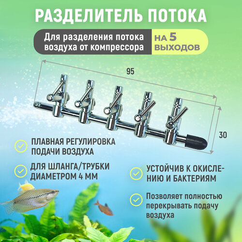 ���� ����������� ������ ��� ���������. ������������� ��� ����������� � ����� ���������, ������� ����������� ������ ������� � ��������� 4 ��. �� 5 �������, ������ ������