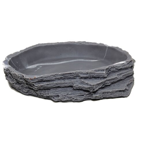 ���� ��������-������ ��� �������� LUCKY REPTILE 