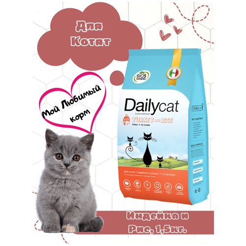    Dailycat        0,4    -     , -,   