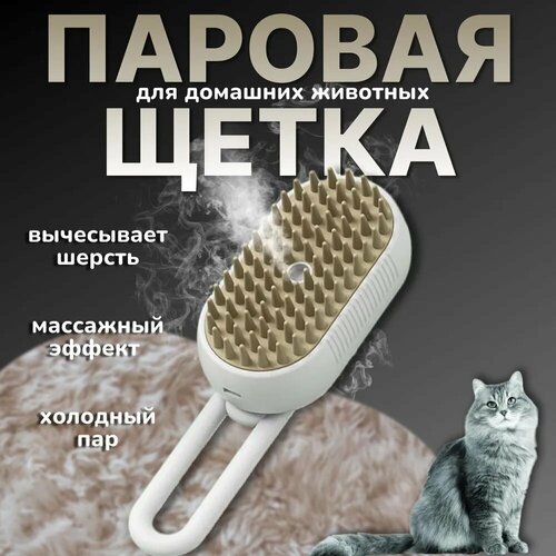 ���� ������� ����� ��� ����� � ����� ����������� �������� 3 � 1, ������ ������