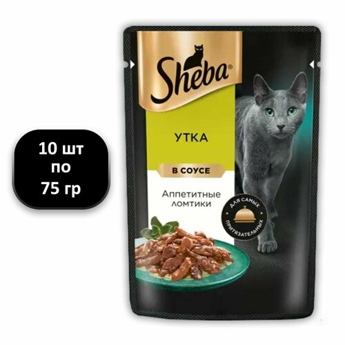  (10 .) 75 , Sheba,  ,  ,   ,    -     , -  