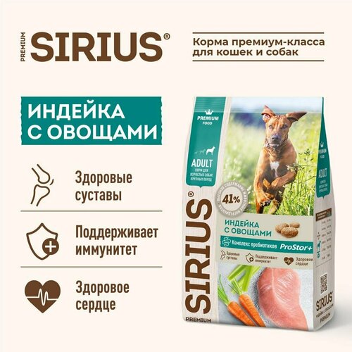  Sirius         , 2 10   -     , -  