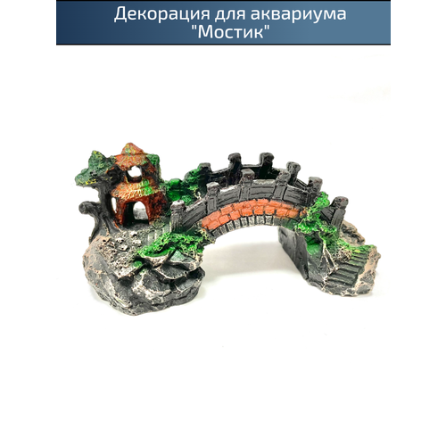 ���� ������� ��� ��������� ������, ������ ������