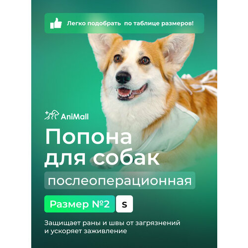 ���� ������ ��� ����� ����������������� �2 AniMall, ������ ������