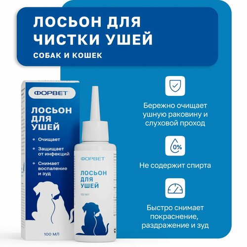 ���� ������ ��� ���� �����, �����, ��������, ������ ������