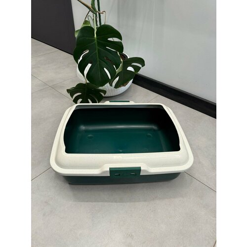 ���� ������� ����� � ������ 