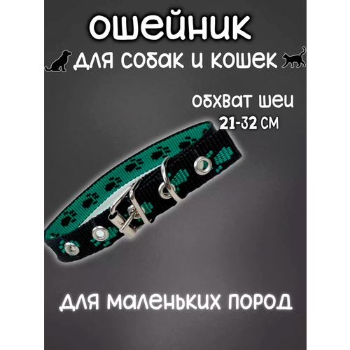 ���� ������� 