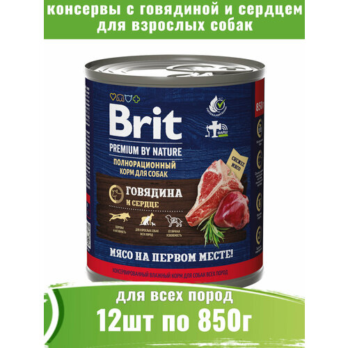  Brit Premium 12  850             -     , -  