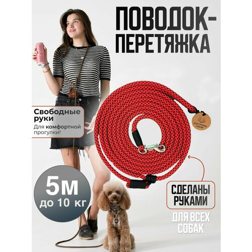 ���� ������� ��������� ������ ������ ��� ����� ������ ����� 5� �� 10 ��, ������ ������