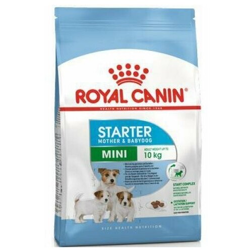         2- ,     Royal Canin Mini Starter 3 .   -     , -,   